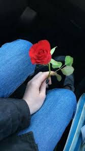 pin by shiza khan on roza v ladonyah red roses beautiful flowers girly pictures
