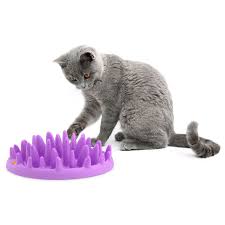 The northmate treat toy feeder gives your cat a fun meal time and stimulates its brain. Catch Interactive Cat Feeder Slow Food Bowl By Northmate 5723998101089 Ebay