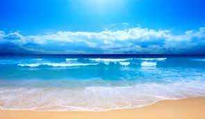 How to play beach live wallpaper on pc,laptop,windows. Beach Live Wallpaper Coub Gifs With Sound Sea Beach 1164x676 Wallpaper Teahub Io