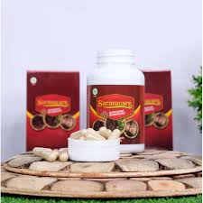 Tomat dapat dijadikan makanan diet sehat untuk penyakit paru karena mengandung likopen dan karotenoid. Jual Sarang Semut Asli Papua With Nano Technology Isi 100 Kapsul Obat Penyakit Paru Paru Basah Terbaru Juni 2021 Blibli
