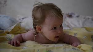 Scratch Gums Stock Video Footage