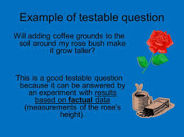 Activity1C_Formatting Answerable Scientific Questions