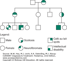 Genetics Dysmorphology Current Diagnosis Treatment