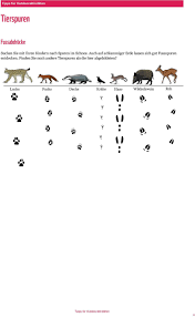 Nutzt jetzt unsere kostenlosen rätsel für kinder für die ferienzeit! Tiere Im Winter Spurensuche Im Wald Pdf Free Download
