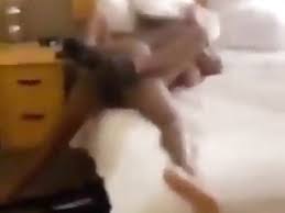 Step mom gets caught on camera in white thongs into son room. Gay Caught Fucking Homo Videos Tube Agaysex Com