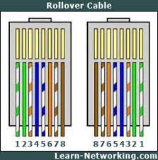 It gets the name rollover because the pinouts on one end are reversed from the other, as if the. The Difference Between Straight Through Crossover And Rollover Cables
