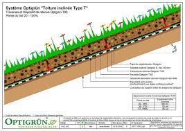 Toiture En Pente Optigrun Toitures Vegetalisees Pitched Roof Green Roof Roof