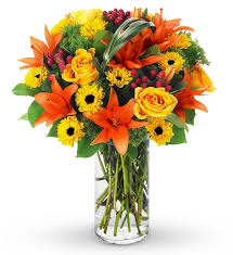 Iowa city, ia local florist providing occasions gifts & flowers everything from anniversary to get well, we have a wide variety of arrangements that are suitable for all occasions. Delightful Expressions Bouquet The Mixture Of Lilies Roses And Viking Mums Fresh Flowers Arrangements Fall Flowers Same Day Flower Delivery