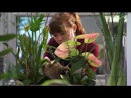 1 Wie Aus Einem Hohlblockstein Ein Florales Kunstwerk Wird Mdr Garten Youtube Mit Bildern Mdr Garten Kunstwerke Garten