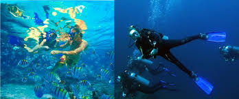 Snorkeling Vs Scuba Diving In Bali Blue Season Bali