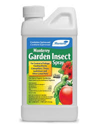 Plants already infected need to be sprayed as often as every five to seven days until the disease symptoms clear up. Tomato Pesticides Everything You Need To Know