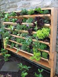 Diy Vertikaler Garten Gartendeko Selber Machen Vertikaler Garten Diy Gartendeko Landschaftsbau
