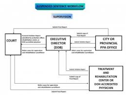 Processes And Procedures Parole And Probation Administration