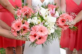 This gerber daisy wedding bouquet is designed in a scepter style with the fun addition of a cluster of bright pink nerine lilies and a gaily striped bow. Gerbera Daisy Wedding Bouquet Prices Off 70 Buy