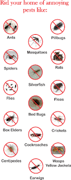 For example, a general pest control treatment would cost around qar 230 for a 1 bedroom apartment and around aed 350 for a three bedroom villa. Home