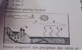 Penguapan:evaporasi adalah proses mengubah cairan menjadi gas, di bawah distilasi: Proses Evaporasi Dan Presipitasi Dari Siklus Airpada Gambar Diatas Ditunjukkan Angka A 1 Dan 2b Brainly Co Id