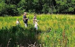 Pollinator Walk