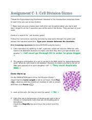 Cell types gizmo answer key. C 1 1 Assignment Cell Division Gizmo 2 Docx Assignment C 1 Cell Division Gizmo Read The Explorelearning Enrollment Handout In The Introduction Course Hero