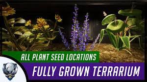Fallen order is dedicated to the first chapter. Star Wars Jedi Fallen Order Fully Grown Terrarium All 10 Plant Seed Locations Green Thumb Youtube