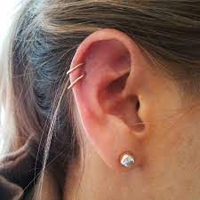 Ashley Carment Ramblings And Other Such Things Page 11 Earings Piercings Ear Jewelry Piercings