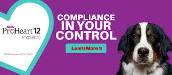 1800petmeds.com has been visited by 10k+ users in the past month Petcare Zoetis Us