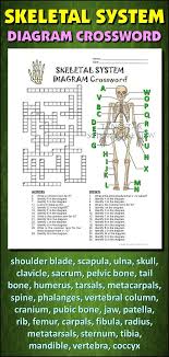 Help Students Learn And Remember The Parts Of The Skeletal System Using This Diagram Crossword Skeletal System Activities Musculoskeletal System Body Systems