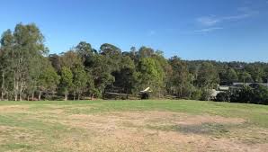 Ferny Grove Flyers Home Facebook