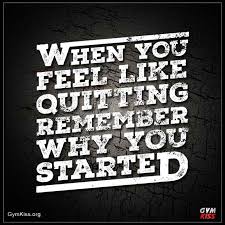 When You Feel Like Quitting Remember Why You Started 2