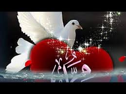 أجمل حالات الواتس أب كل القلوب إلى الحبيب تميلو Youtube Doves Birthday Bird