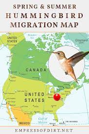 Maybe you would like to learn more about one of these? 2021 Hummingbird Migration Map Find Out When To Expect Them