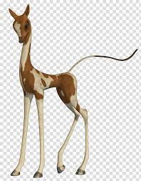 Fantasy Animals Brown And White Deer Transparent Background Png Clipart Hiclipart Free deer transparent png images. fantasy animals brown and white deer