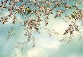 Суши бар сакура пикалево и бокситогорск. Photomural Sakura 8 213 From Komar