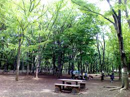 光が丘公園/東京都/練馬区/BBQ/バーベキュー/レンタル/手ぶら/配達/BBQ太郎