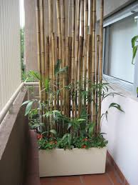 Balkon Pflanzenpflanzkuebelbambusstangenwand Sichtschutz Balkon Sichtschutz Pflanzen Pflanzkue Balcony Privacy Privacy Screen Plants Balcony Privacy Screen