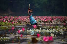 Water Lilies Of Bangladesh By Moazzem Mostakim Faith In Humanity Beautiful Photography Beautiful