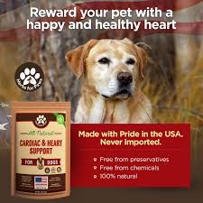 Having a heart murmur is very different from having heart disease or heart failure. Amazon Com Dog Cardio Strength Heart Murmur Hawthorn Supplement Powder Hawthorne For Dogs Vitamins For Pet Heart Health Made In Usa 4 0 Oz Health Personal Care