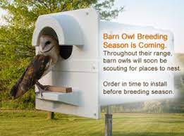 This video is about how to do marketing for pest control and exterminators. Integrated Pest Management Birds For Natural Rodent Control Barn Owl Box Company