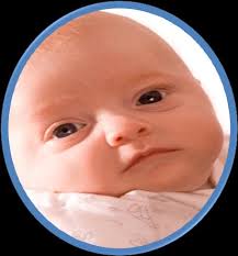 THE NEW YORK STATE MEDICAID PROGRAM