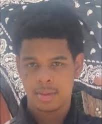 Lost dogs found in Belmont Chase subdivision