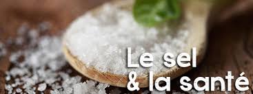 Regime Sans Sel Alimentation Conseils Astuces Livre