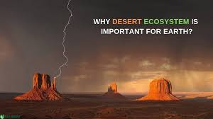 Desert Ecosystem Definition Types And Characteristics Desert Ecosystem Ecosystems Climate Action