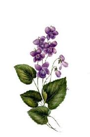 viola sororia violet flower tattoos viola flower violet tattoo