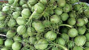 Bagi para supplier / distributor buah/sembako dll, yang kesulitan memenuhi kebutuhan permintaan/order dari buyer yg lbh. Ini Dia Tempat Untuk Beli Buah Buahan Dengan Harga Yang Agak Murah