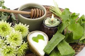 Sac Maskesi Sac Dokulmesi Icin Sac Maskesi Tarifleri Blog11 Aloe Sac Saglik