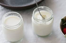 Yaourt Des Neiges Au Thermomix Plat Et Recette Thermomix Yahourt Thermomix Meilleures Recettes Thermomix