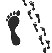 Human Foot Footprint Path Human Foot Footprint Feet