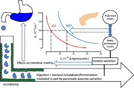 Seyed bashir mirtajani et al, geographical distribution of cystic fibrosis; Exocrine And Endocrine Interactions In Cystic Fibrosis A Potential Key To Understanding Insulin Secretion In Health And Disease Diabetes