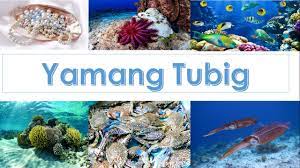 Mga Yamang Tubig - YouTube