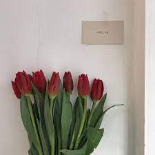 R O S I E Flower Aesthetic Beautiful Flowers Red Aesthetic