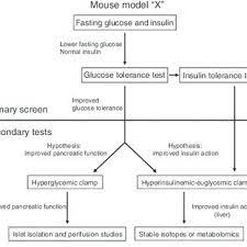 To do package order product: Pdf Standard Operating Procedures For Describing And Performing Metabolic Tests Of Glucose Homeostasis In Mice